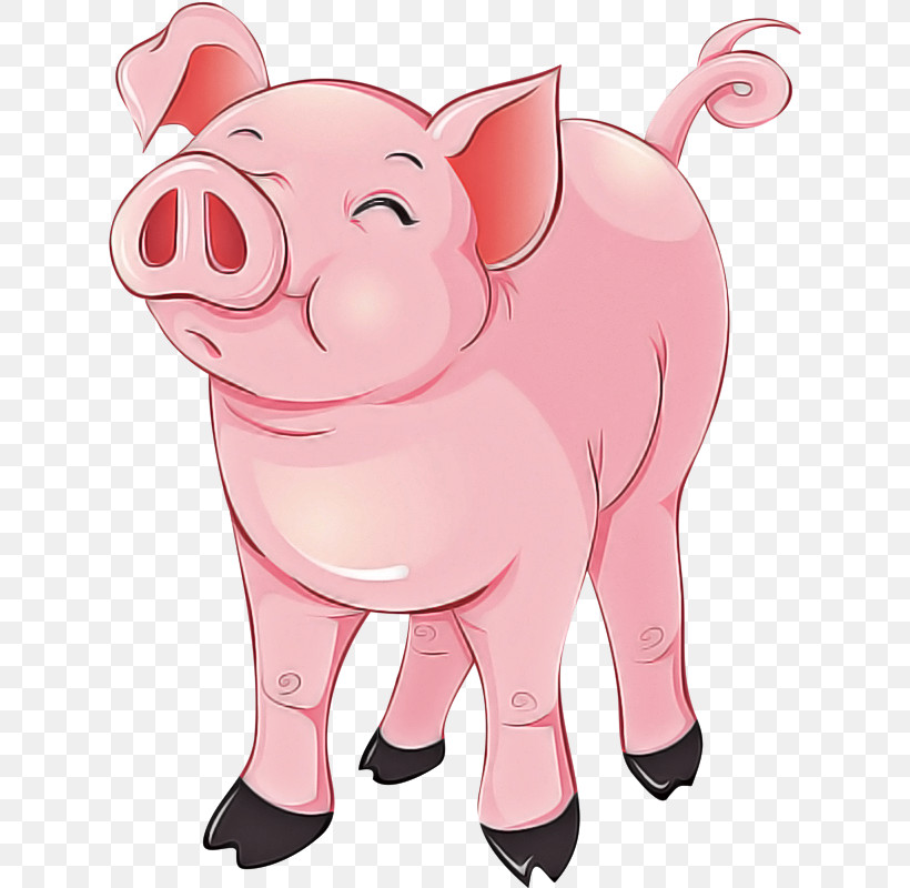 Cartoon Pink Suidae Nose Snout, PNG, 648x800px, Cartoon, Animation, Livestock, Nose, Pink Download Free