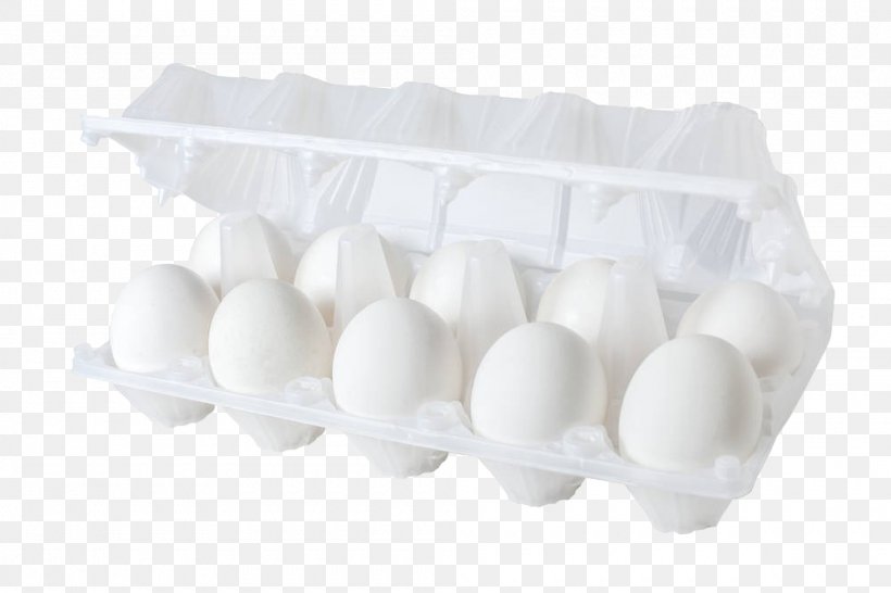Chicken Paper Egg Carton Stock Photography, PNG, 1000x667px, Chicken, Box, Carton, Egg, Egg Carton Download Free