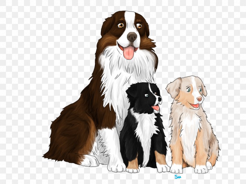 Dog Breed Puppy Bernese Mountain Dog Great Pyrenees Companion Dog, PNG, 900x675px, Dog Breed, Bernese Mountain Dog, Breed, Canis, Carnivoran Download Free