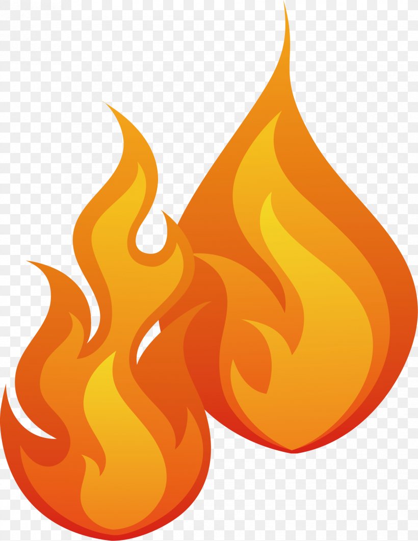Flame Combustion Fire Clip Art, PNG, 1677x2170px, Flame, Burn, Cartoon, Combustion, Fire Download Free