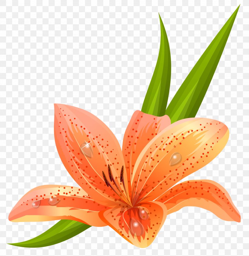 Lilium Flower Euclidean Vector Clip Art, PNG, 3263x3351px, Lilium Bulbiferum, Amaryllis Belladonna, Arum Lily, Flower, Flowering Plant Download Free