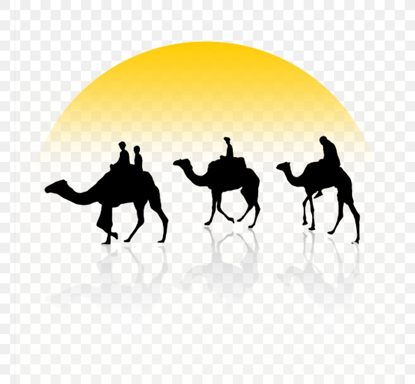 Bactrian Camel Dromedary Camel Train Clip Art, PNG, 761x759px, Bactrian Camel, Camel, Camel Like Mammal, Camel Train, Caravan Download Free