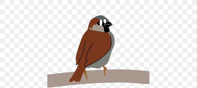 House Sparrow Bird Beak, PNG, 425x368px, Sparrow, Autorun, Autoruninf, Beak, Bird Download Free