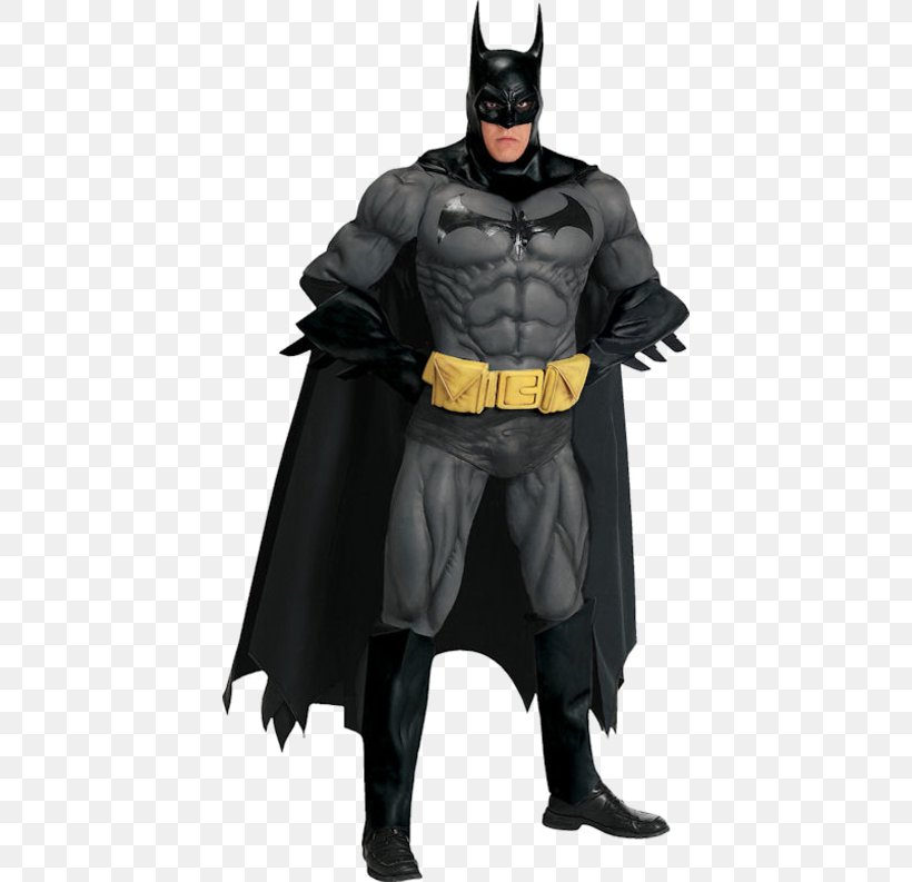Batman Robin Costume Barbara Gordon Clothing, PNG, 500x793px, Batman,  Action Figure, Barbara Gordon, Batman Begins, Batman