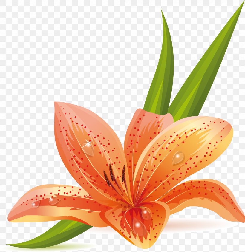 Clip Art Flower Design Orange Lily, PNG, 2000x2061px, Flower, Cut Flowers, Floral Design, Flowering Plant, Hippeastrum Download Free
