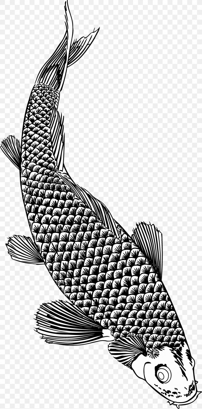 Fish Brush Monochrome Seafood, PNG, 888x1800px, Fish, Black And White, Brush, Catfish, Fauna Download Free