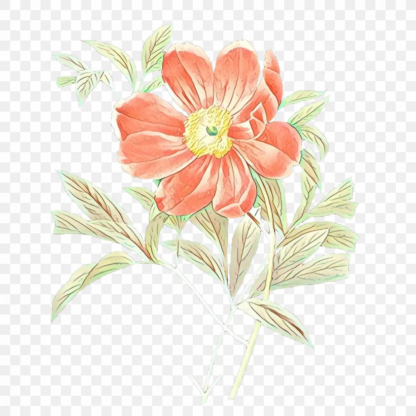 Flower Botanical Illustration Painting Floral Design, PNG, 1200x1200px, Flower, Art, Botanical Illustration, Botany, Bouquet Download Free