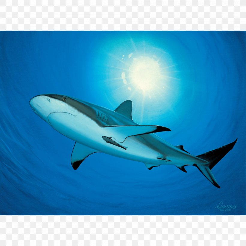 Hammerhead Shark Requiem Shark Canvas Print Printing, PNG, 2000x2000px, Hammerhead Shark, Aqua, Art, Canvas, Canvas Print Download Free