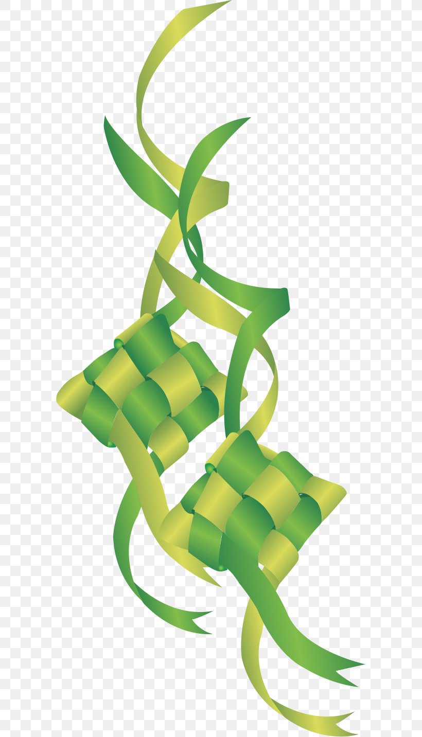 Image Drumband Ketupat Marching Band Hashtag, PNG, 601x1433px, Ketupat, Drum, Flora, Green, Hashtag Download Free