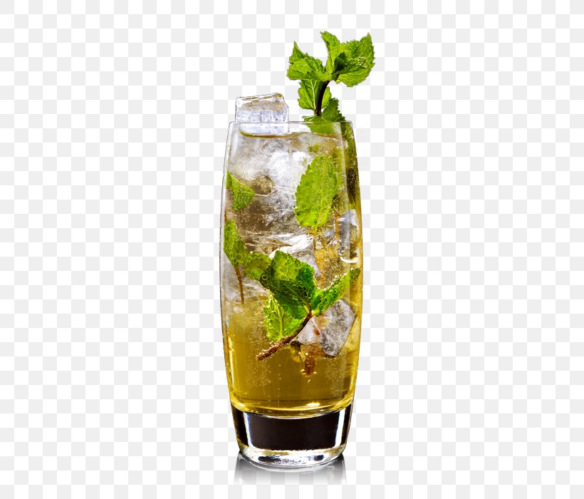Mojito Mint Julep Rum And Coke Cocktail Garnish Gin And Tonic, PNG, 460x700px, Mojito, Cocktail, Cocktail Garnish, Cuba Libre, Drink Download Free