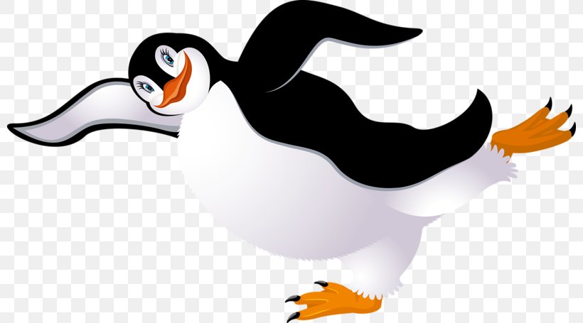 Penguin Bird Clip Art, PNG, 800x455px, Penguin, Beak, Bird, Cartoon, Cuteness Download Free