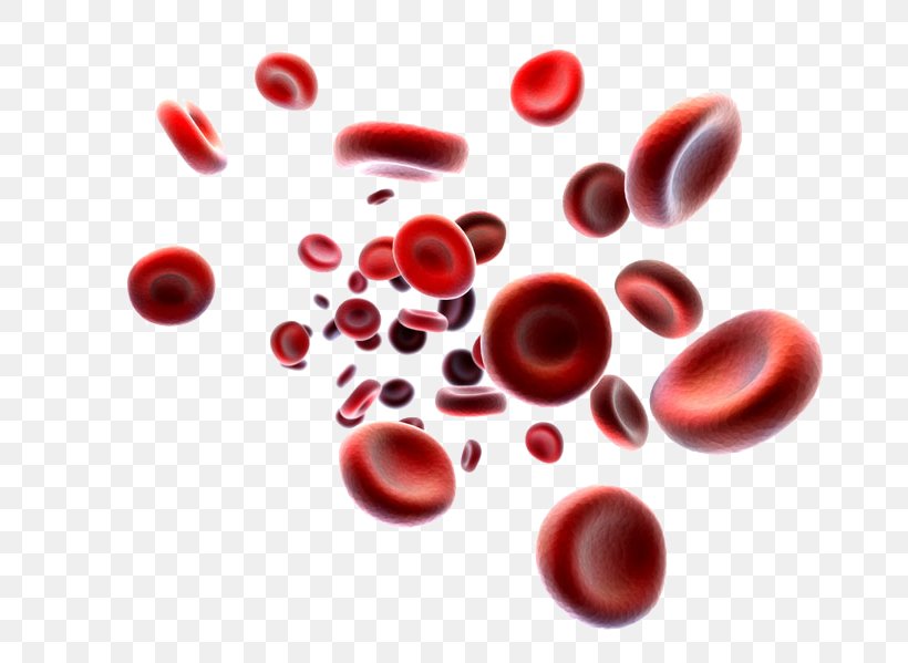 Platelet-rich Plasma Red Blood Cell White Blood Cell, PNG, 800x599px, Platelet, Blood, Blood Cell, Blood Donation, Blood Test Download Free