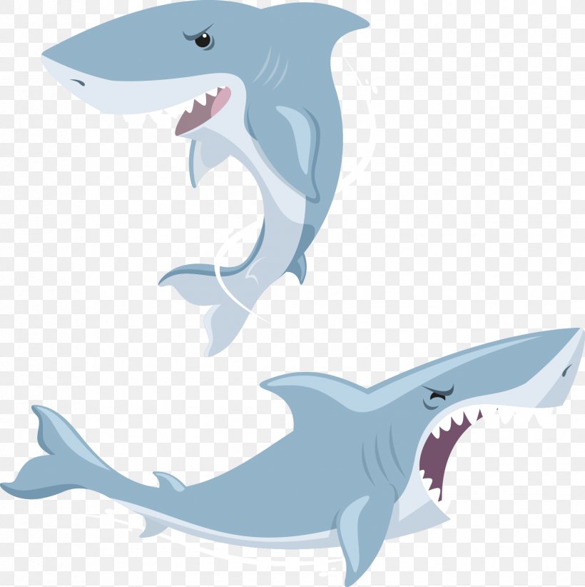 Shark Euclidean Vector, PNG, 1683x1689px, Shark, Blue, Blue Shark, Cartilaginous Fish, Cartoon Download Free