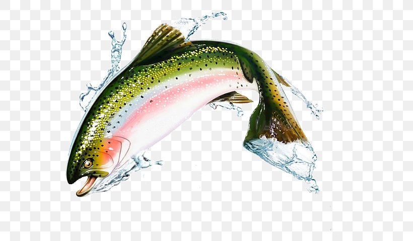 AquAdvantage Salmon Sockeye Salmon Stock Photography Pink Salmon, PNG, 575x479px, Aquadvantage Salmon, Atlantic Salmon, Bait, Bony Fish, Drawing Download Free