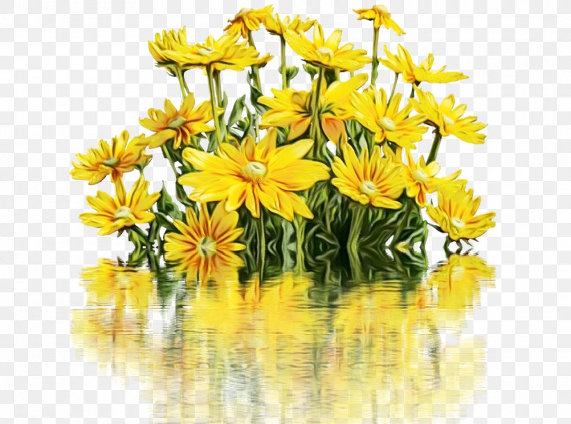 Flower Flowering Plant Yellow Plant Reflection, PNG, 960x714px, Watercolor, Daisy Family, Euryops Pectinatus, Flower, Flowering Plant Download Free