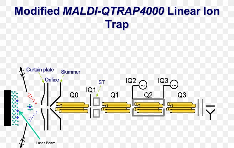 Quadrupole Ion Trap Mass Spectrometry Quadrupole Mass Analyzer Linear Ion Trap, PNG, 1415x897px, Quadrupole Ion Trap, Area, Blue, Brand, Diagram Download Free