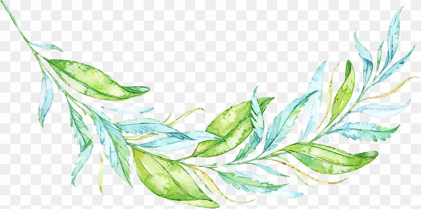 Watercolor Leaf, PNG, 3898x1935px, Watercolor, Botany, Feather, Grasses, Leaf Download Free