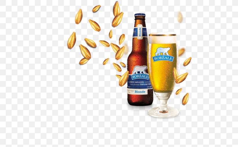 Beer Bottle Pilsner Les Brasseurs Du Nord Ale, PNG, 500x508px, Beer, Alcoholic Beverage, Ale, Beer Bottle, Beer Glass Download Free