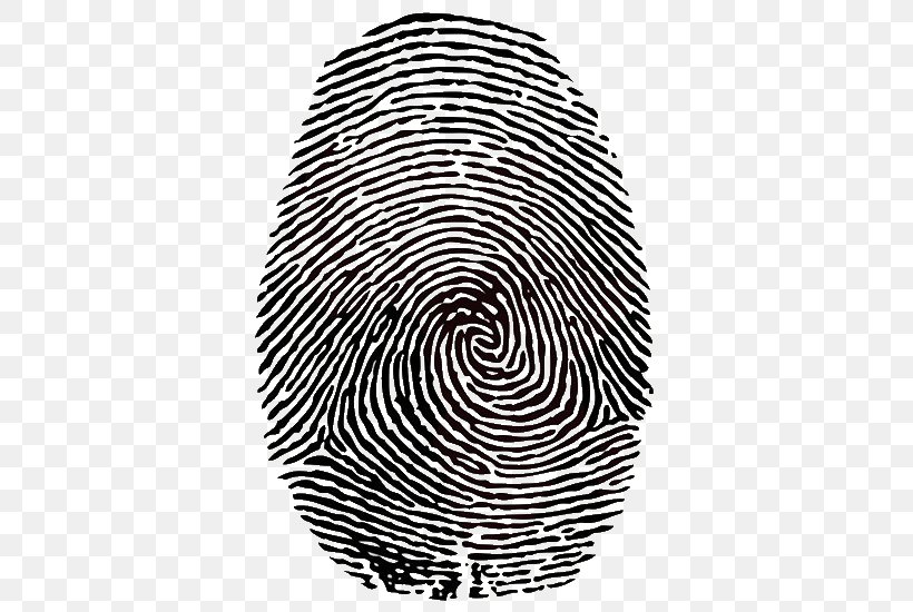 Fingerprint Clip Art, PNG, 470x550px, Fingerprint, Art, Black And White, Criminal Investigation, Digit Download Free