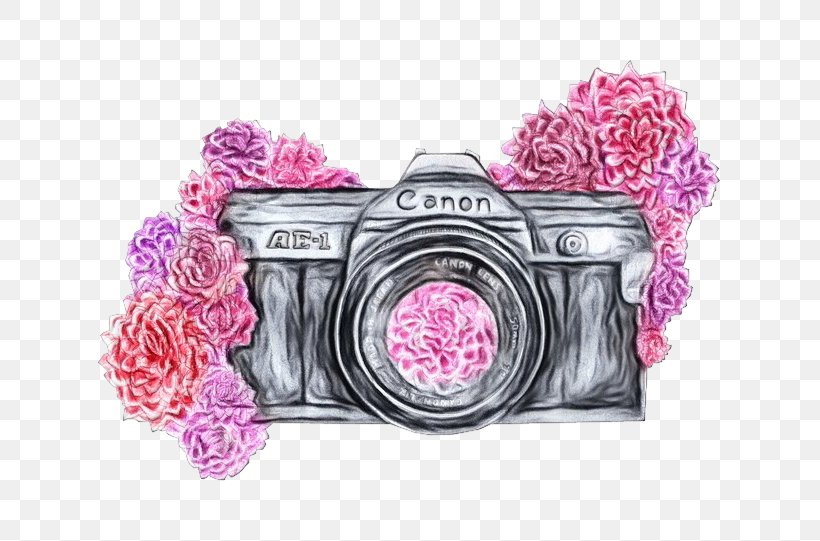 Pink Camera Digital Camera Cameras & Optics Boombox, PNG, 736x541px, Watercolor, Boombox, Camera, Cameras Optics, Digital Camera Download Free