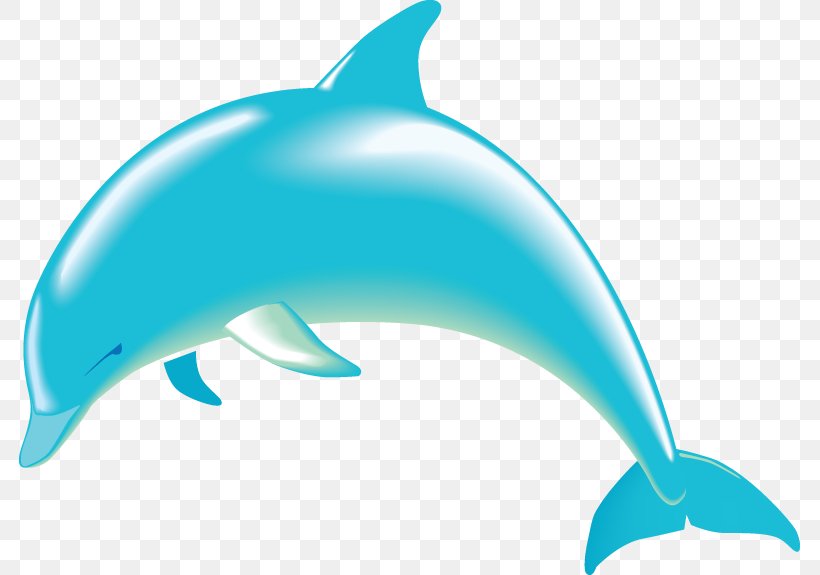 Bottlenose Dolphin Free Content Clip Art, PNG, 781x575px, Dolphin, Aqua, Blog, Blue, Bottlenose Dolphin Download Free
