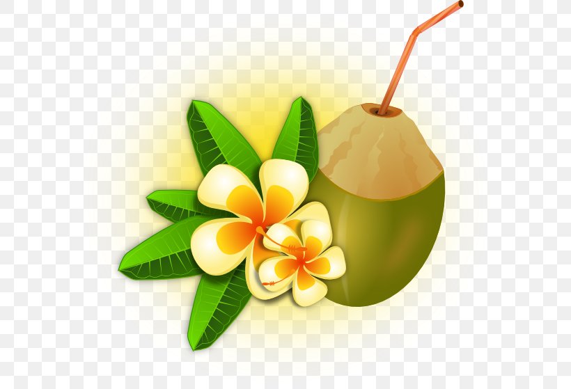 Cocktail Tropics Coconut Water Clip Art, PNG, 600x559px, Cocktail, Arecaceae, Coconut Water, Drink, Flower Download Free