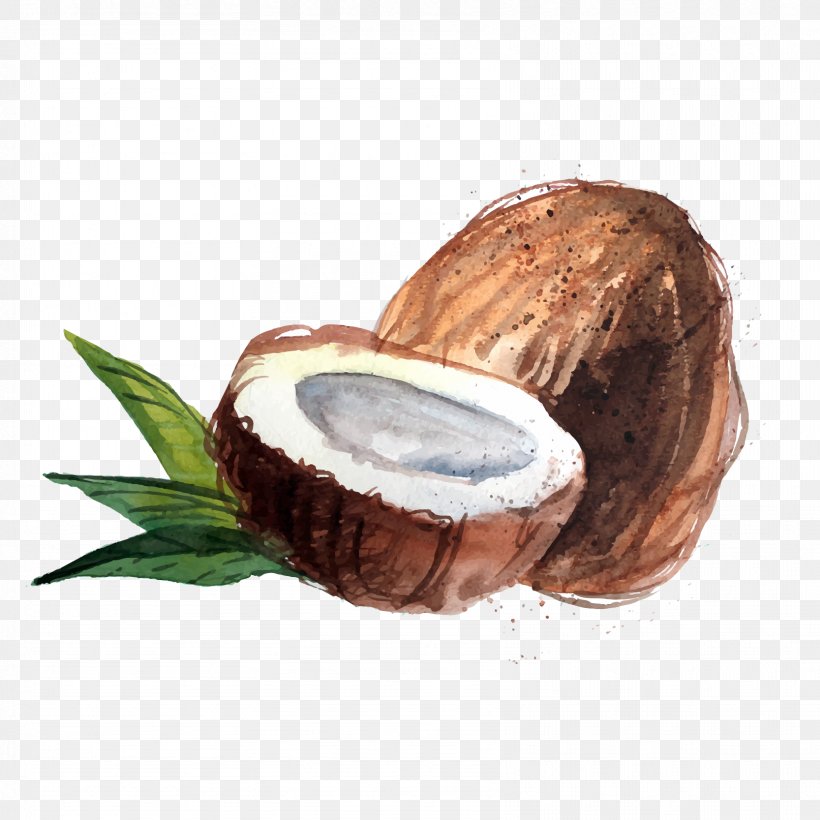 Coconut Water Raw Foodism Organic Food Coconut Oil, PNG, 1667x1667px, Coconut Water, Arecaceae, Coconut, Coconut Oil, Coconut Sugar Download Free
