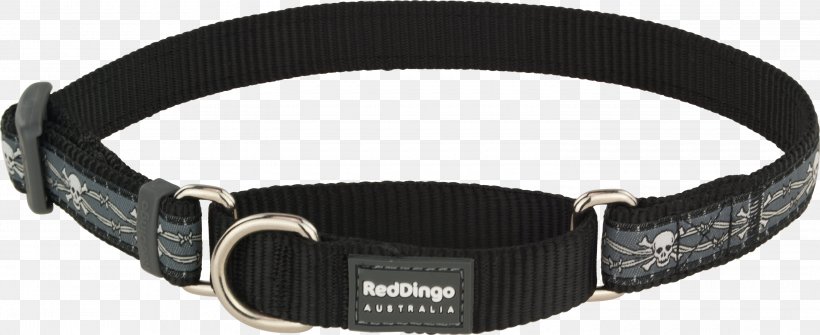 Dingo Dog Collar German Shepherd Belt, PNG, 3000x1226px, Dingo, Belt, Belt Buckle, Belt Buckles, Black Download Free