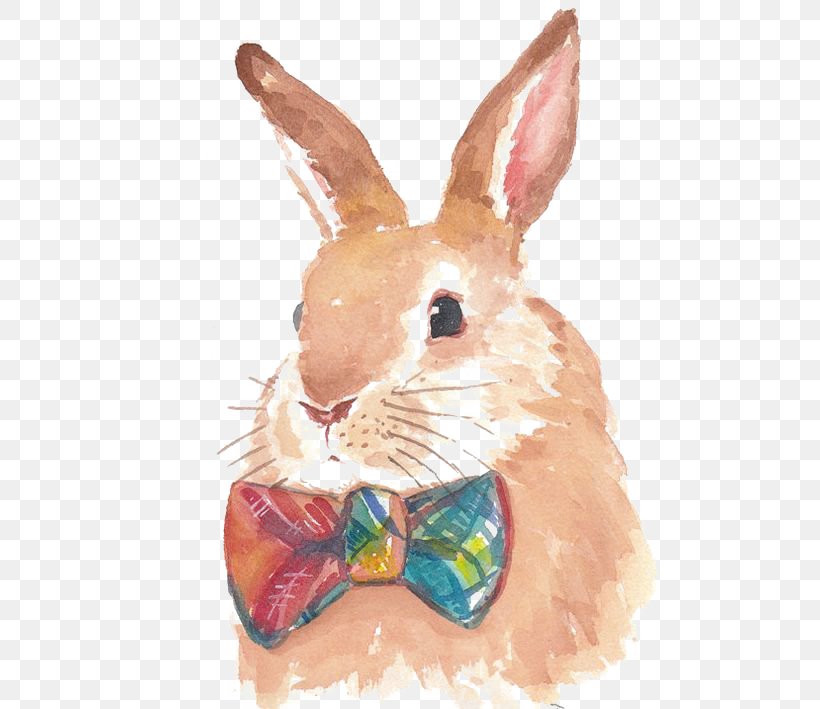Hare Bunnies & Rabbits Watercolor Painting Drawing, PNG, 564x709px, Hare, Art, Artist, Bunnies Rabbits, Domestic Rabbit Download Free