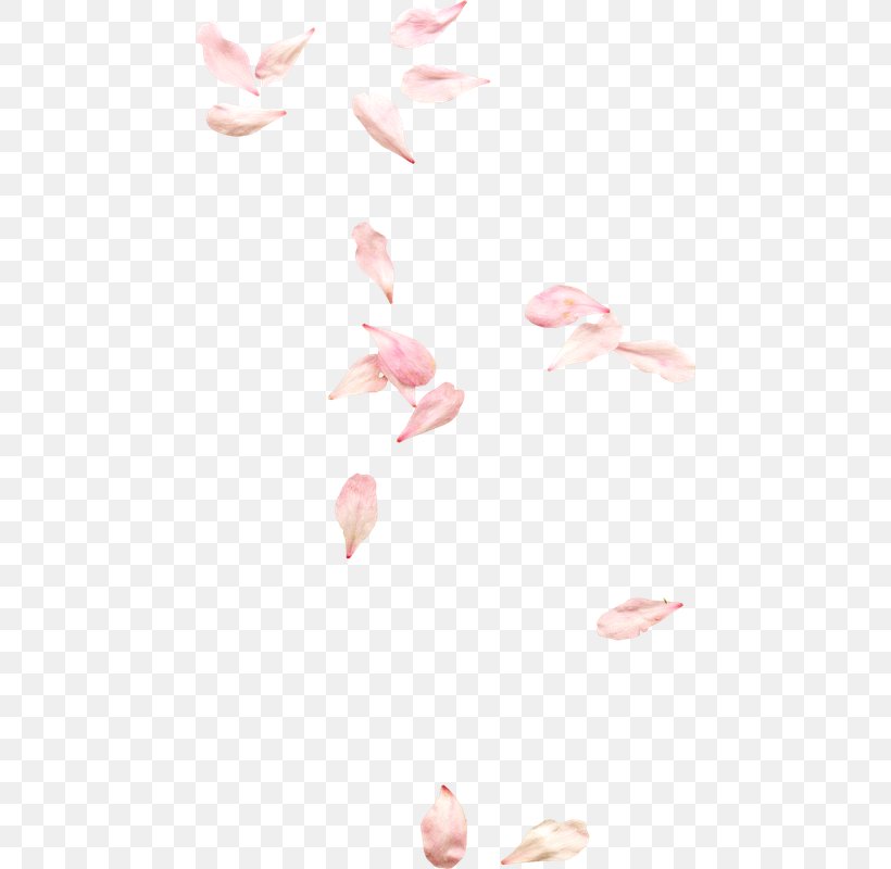 Petal Flower Clip Art Image, PNG, 460x800px, Petal, Flower, Hand, Peach, Photoscape Download Free