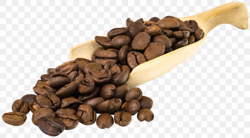 Jamaican Blue Mountain Coffee Cafe Espresso Coffee Bean, PNG, 925x514px, Coffee, Bean, Cafe, Caffeine, Cocoa Bean Download Free