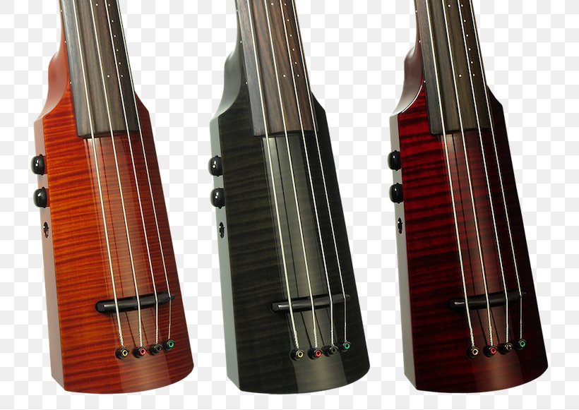 Violone Double Bass Violin Cello, PNG, 800x581px, Violone, Bass Guitar, Bowed String Instrument, Cello, Double Bass Download Free