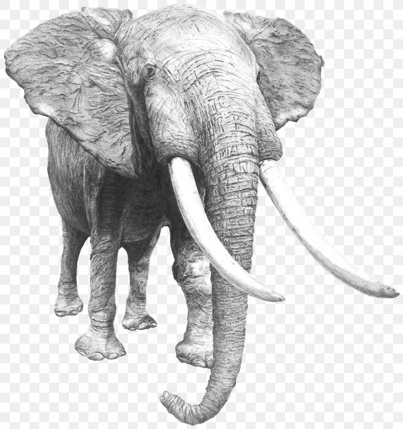 Art Director Paris Design Indian Elephant, PNG, 2253x2404px, Art Director, African Elephant, Animal Figure, Art, Art Museum Download Free