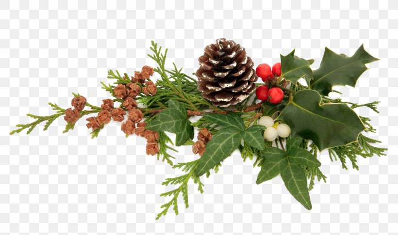 Christmas Decoration, PNG, 1000x592px, Christmas, Aquifoliaceae, Branch, Christmas Decoration, Christmas Ornament Download Free