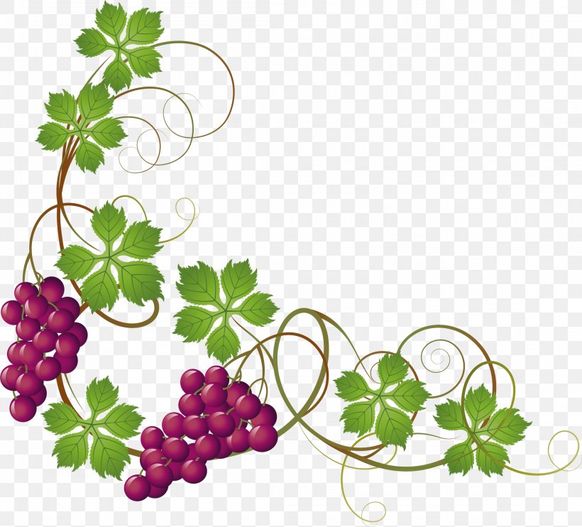 Common Grape Vine Grape Leaves Clip Art, PNG, 2201x1993px, Common Grape Vine, Branch, Flora, Floral Design, Flower Download Free