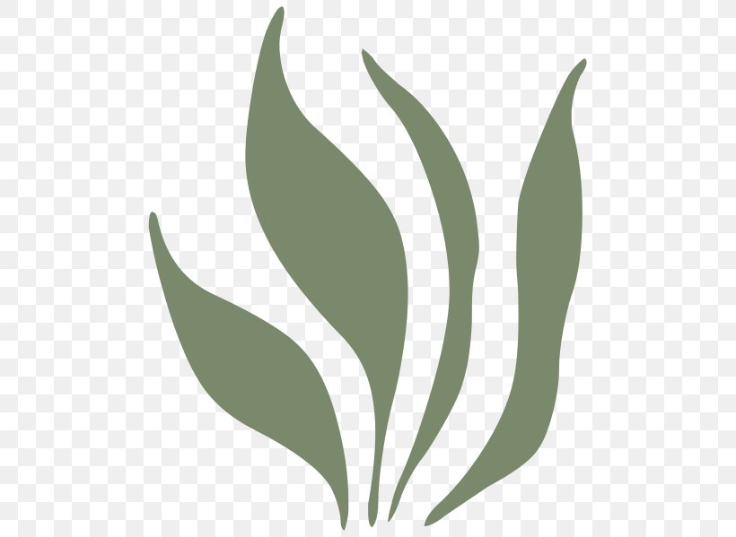 Leaf, PNG, 497x599px, Leaf, Creative Commons, Creative Commons License, Flora, Grass Download Free