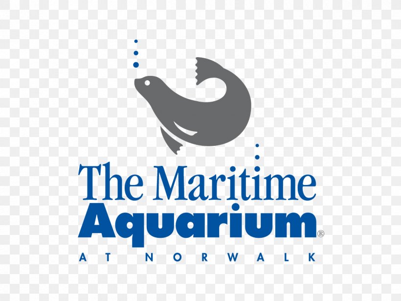 Mystic Aquarium & Institute For Exploration Maritime Aquarium At Norwalk Long Island Sound Shark, PNG, 1200x900px, Maritime Aquarium At Norwalk, Aquarium, Artwork, Blue, Brand Download Free