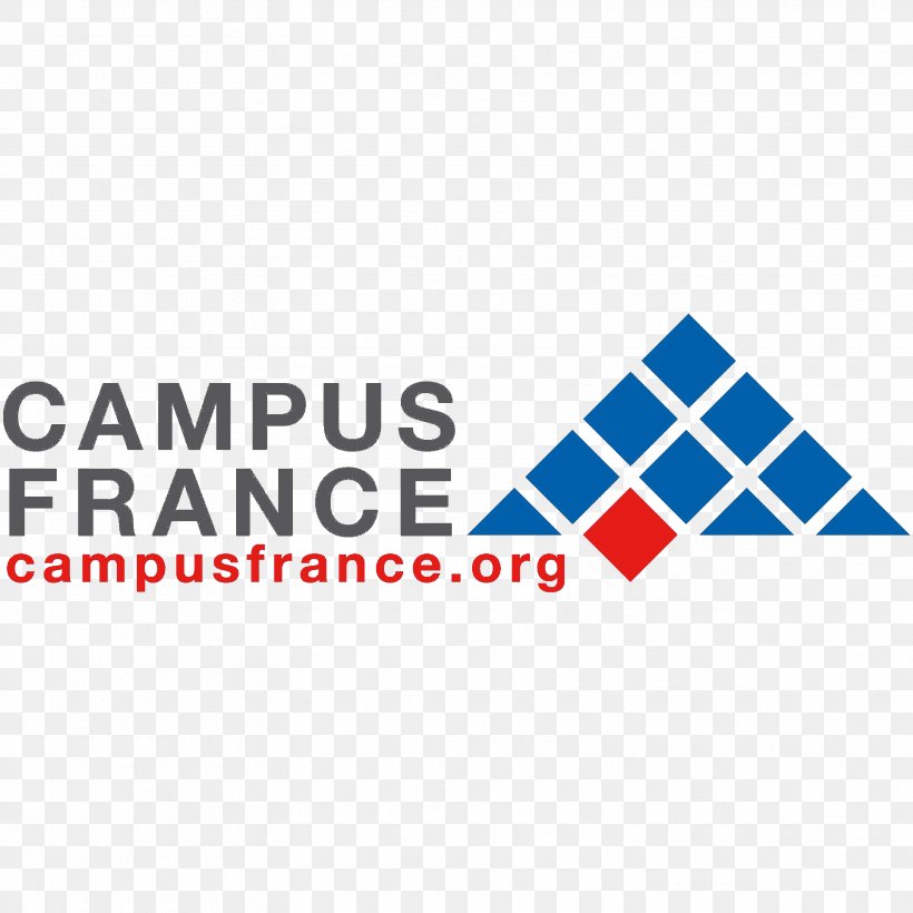 Toulouse Business School CampusFrance Agency Pantheon-Sorbonne University École Normale Supérieure Student, PNG, 3330x3330px, Toulouse Business School, Area, Brand, Campus, Campusfrance Agency Download Free
