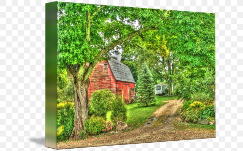 Tree Property Shed Landscape Nature, PNG, 650x509px, Tree, Barn, Cottage, Farmhouse, Forest Download Free