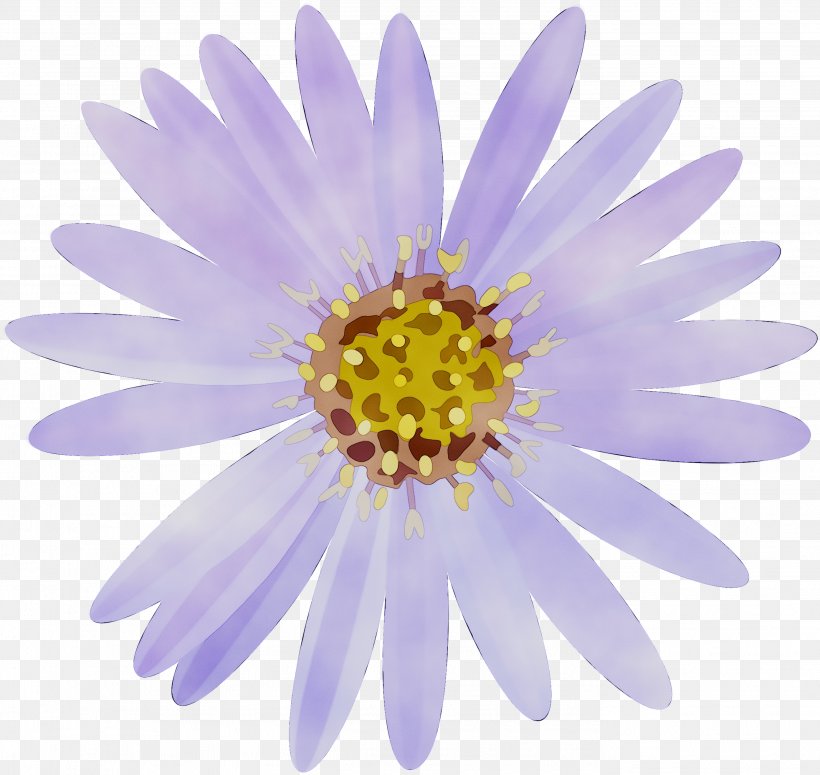 Vector Graphics Stock Illustration Image Stock Photography, PNG, 2784x2634px, Stock Photography, Alpine Aster, Annual Plant, Aster, Asterales Download Free