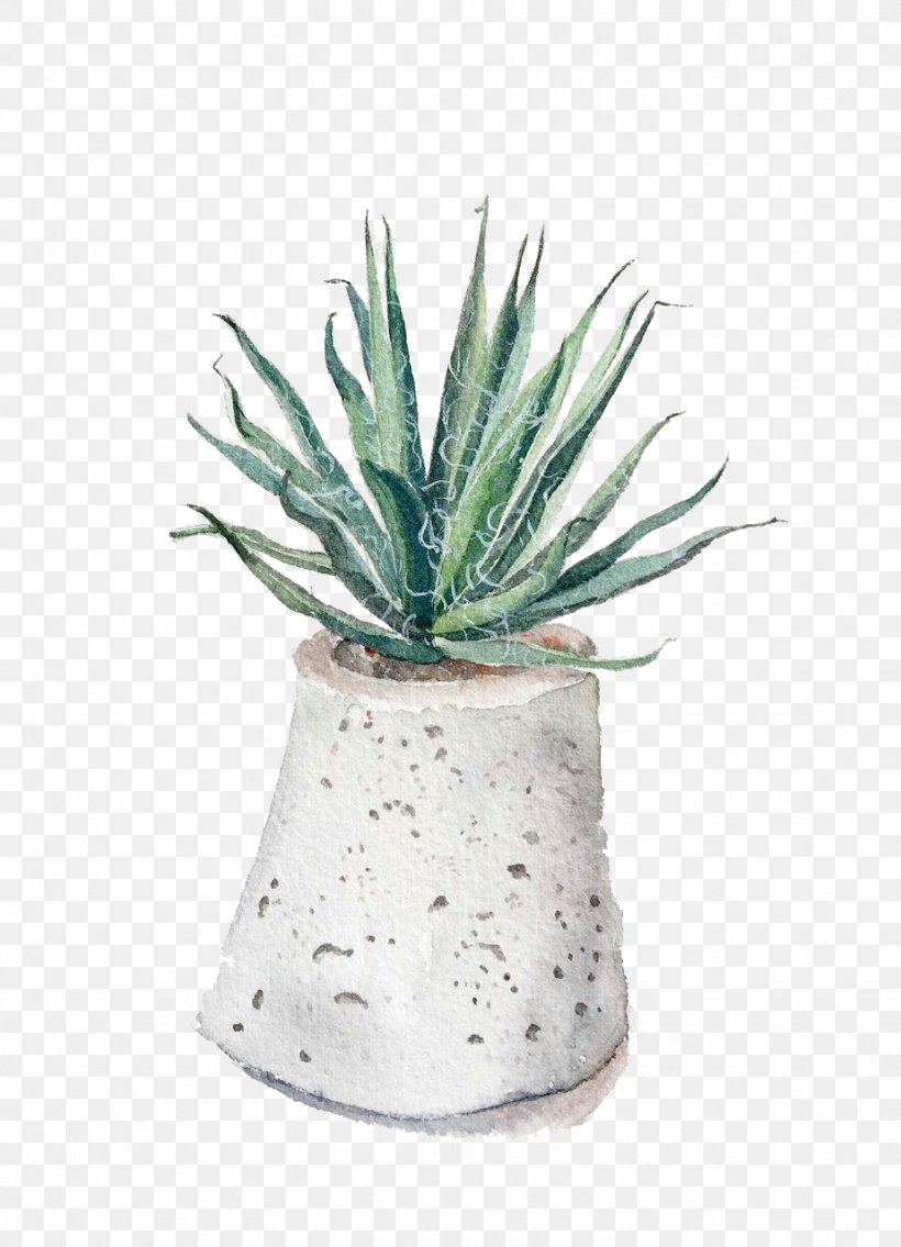 Aloe Vera Euclidean Vector Gratis, PNG, 924x1280px, Aloe Vera, Agave, Aloe, Concepteur, Flowerpot Download Free