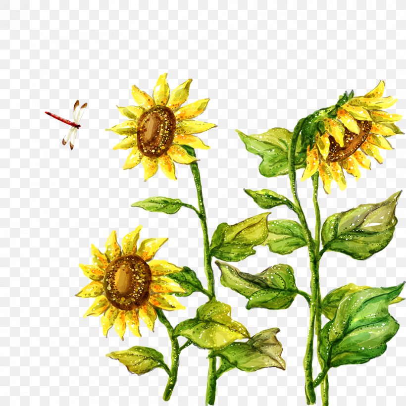 Fukei Drawing Illustration, PNG, 945x945px, Fukei, Cartoon, Common Sunflower, Dahlia, Daisy Family Download Free