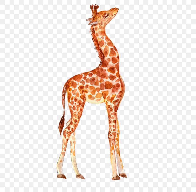 Giraffe Image Design Vector Graphics, PNG, 450x800px, Giraffe, Animal, Animal Figure, Cartoon, Elephant Download Free