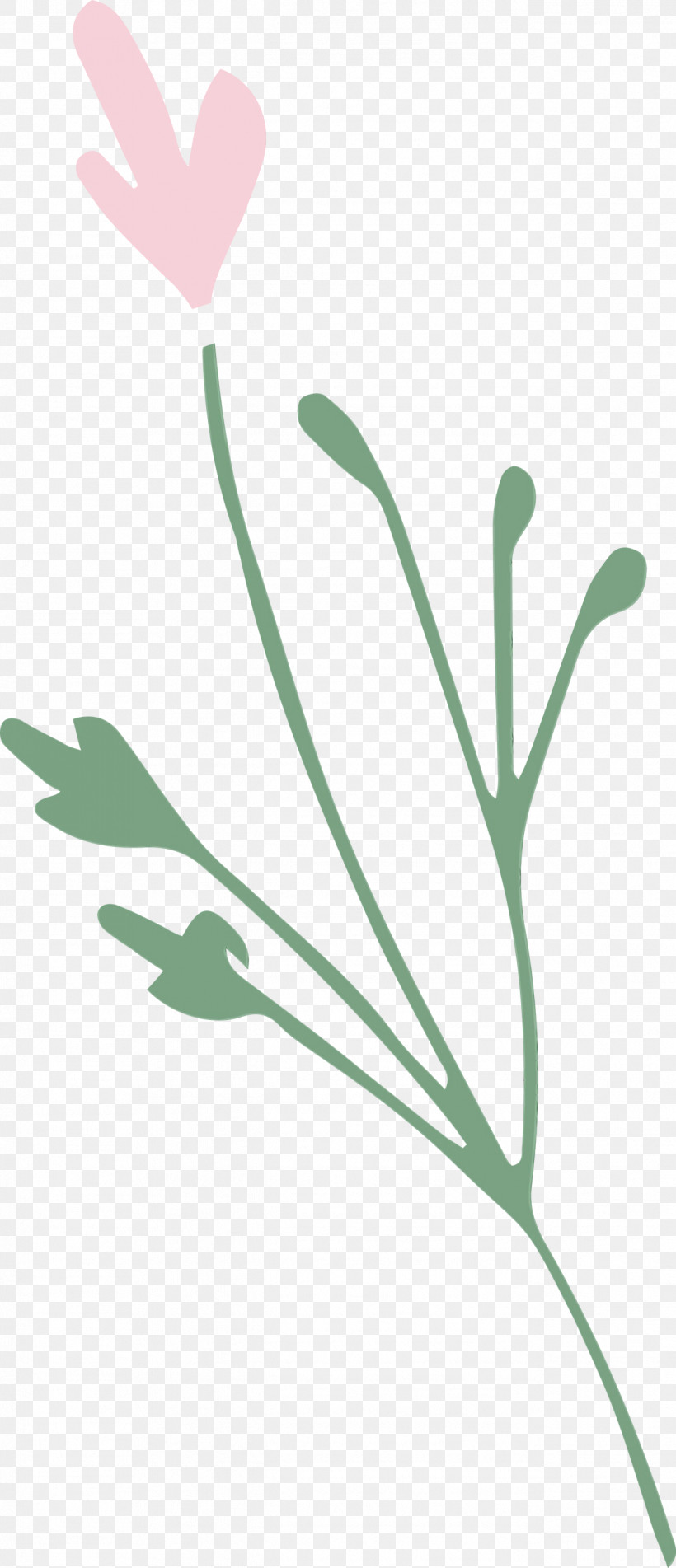 Plant Stem Petal Leaf Flower Plants, PNG, 1292x2999px, Leaf Branch, Biology, Flower, Leaf, Paint Download Free