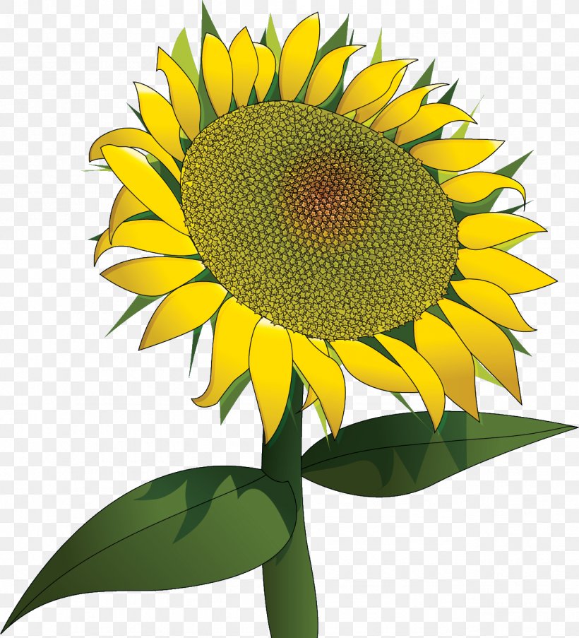 Sunflower Japan Design Birthday 0, PNG, 1284x1414px, 2018, Sunflower, Annual Plant, Asterales, Birthday Download Free