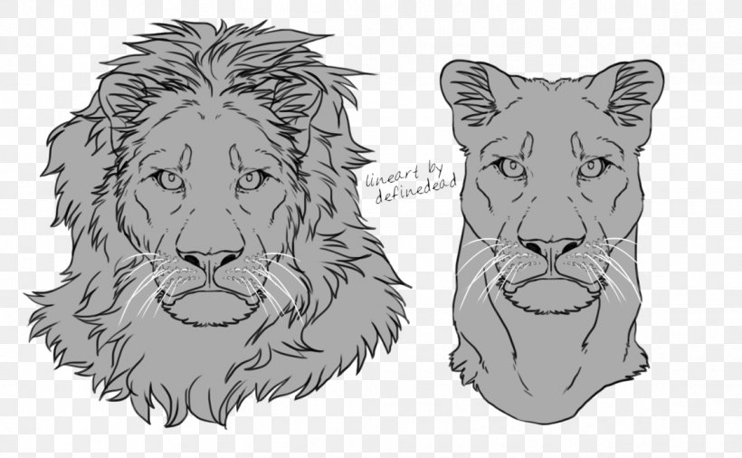 Lion Tiger Felidae Whiskers Sketch, PNG, 1137x702px, Lion, Art, Artwork, Big Cats, Black And White Download Free