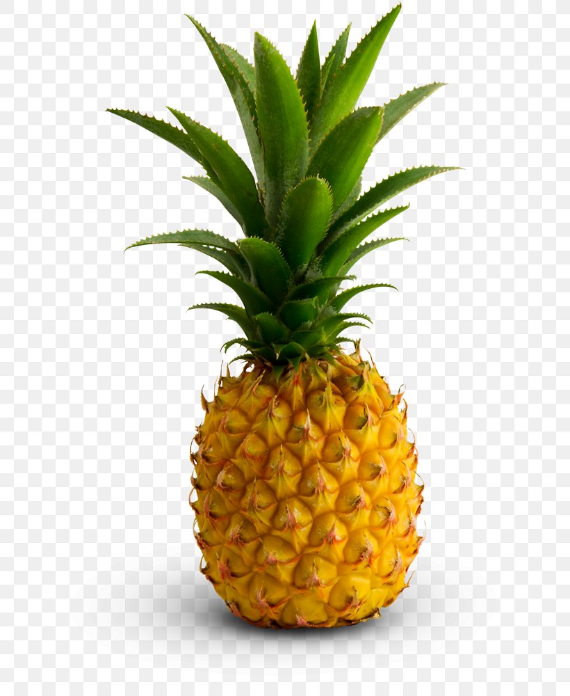 Pineapple Juice Fruit Slice Food, PNG, 755x1000px, Pineapple, Ananas, Bromelain, Bromeliaceae, Flowerpot Download Free