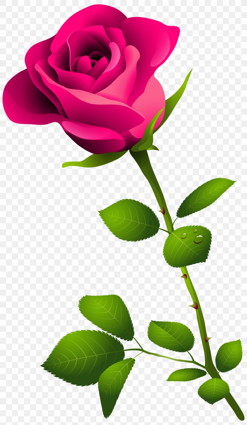 Rose Pink Flower Clip Art, PNG, 3658x6286px, Rose, Blog, Branch, Bud, Clip Art Download Free