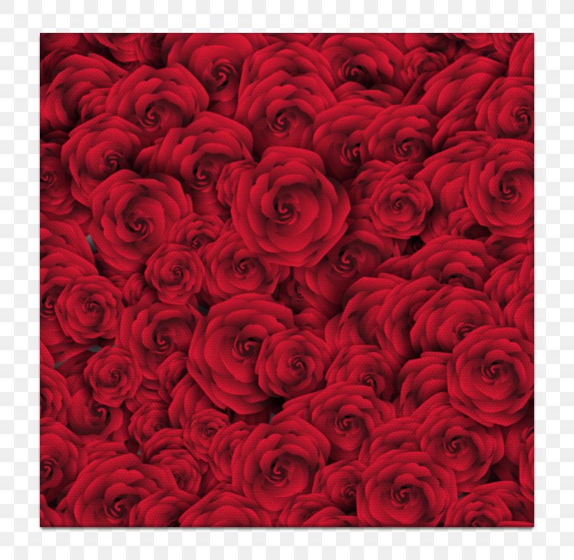 Rose Red Photography Clip Art, PNG, 800x800px, Rose, Blue, Canvas Print, Computer, Cut Flowers Download Free