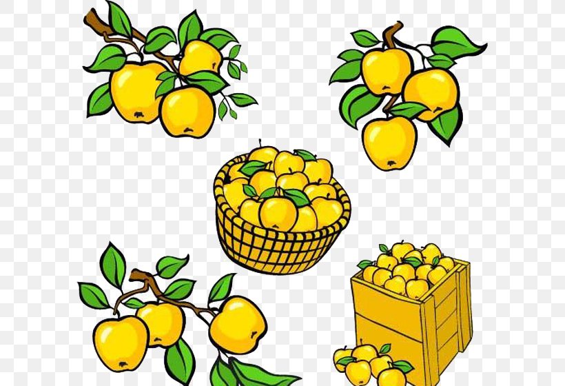 Clip Art, PNG, 598x560px, Stock Photography, Apple, Artwork, Auglis, Citrus Download Free